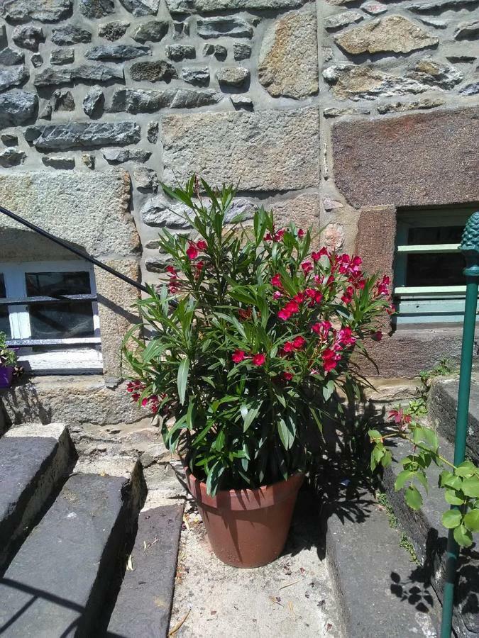 Fresnay-sur-Sarthe Le Refuge Des Alpes Mancelles 아파트 외부 사진